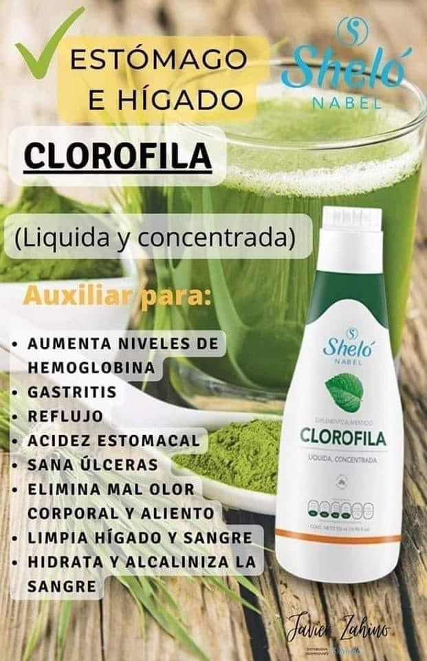clorofila liquida concentrada